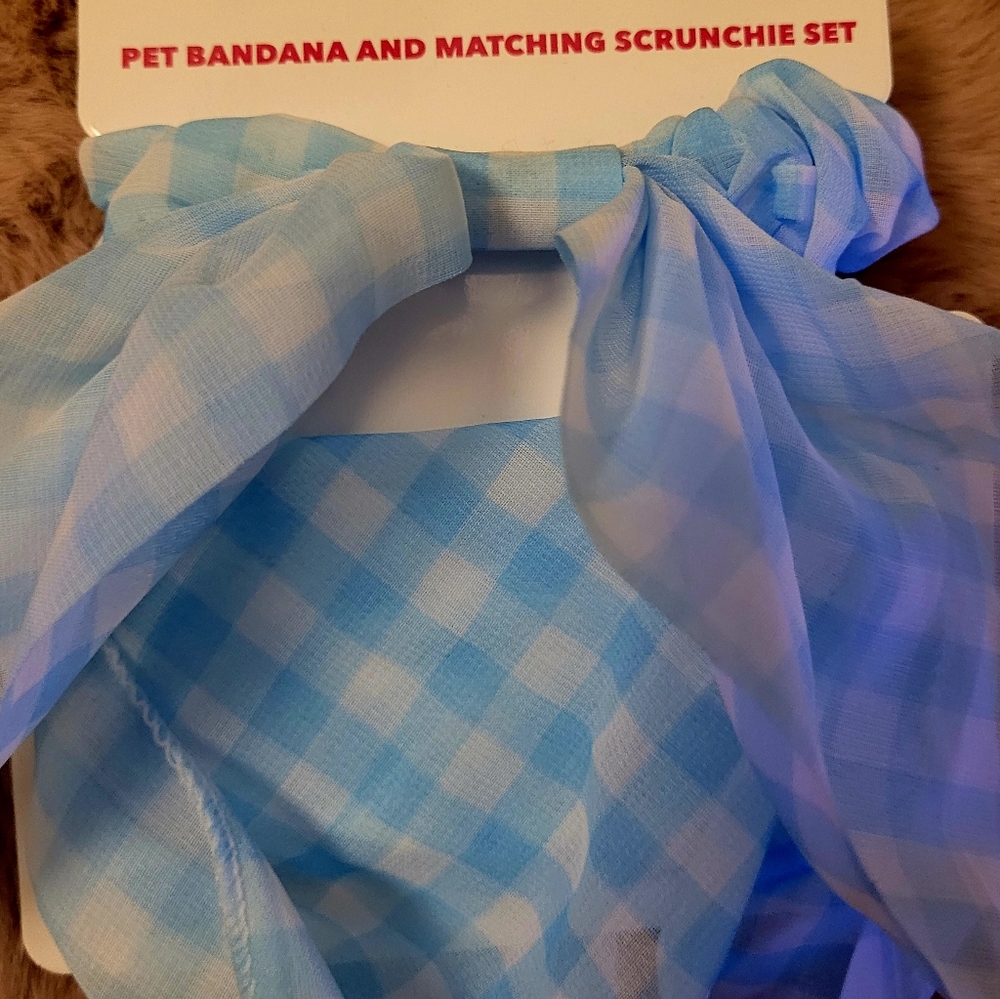 Pet Bandana and Scrunchie Set
